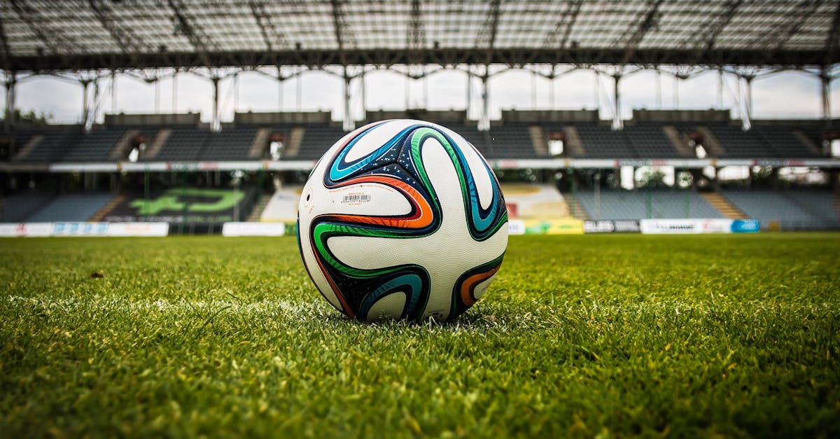 Best Practices for Summer Care of Synthetic Turf in Brisbane
