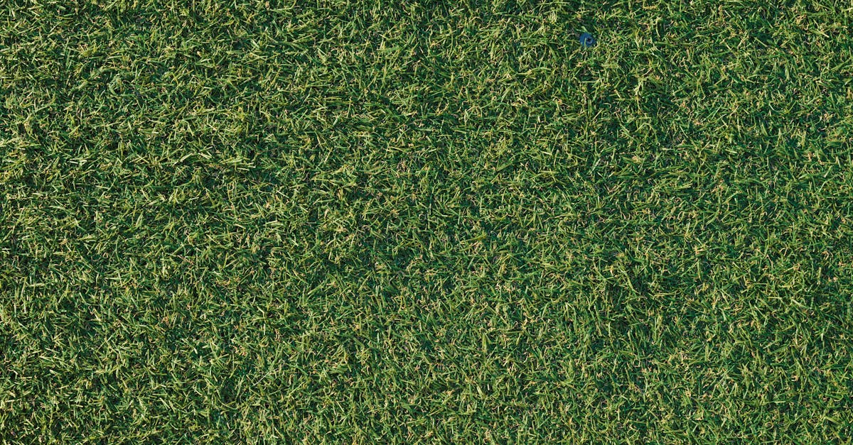 Evaluating the Lifespan of Synthetic Turf for Effective Repairs