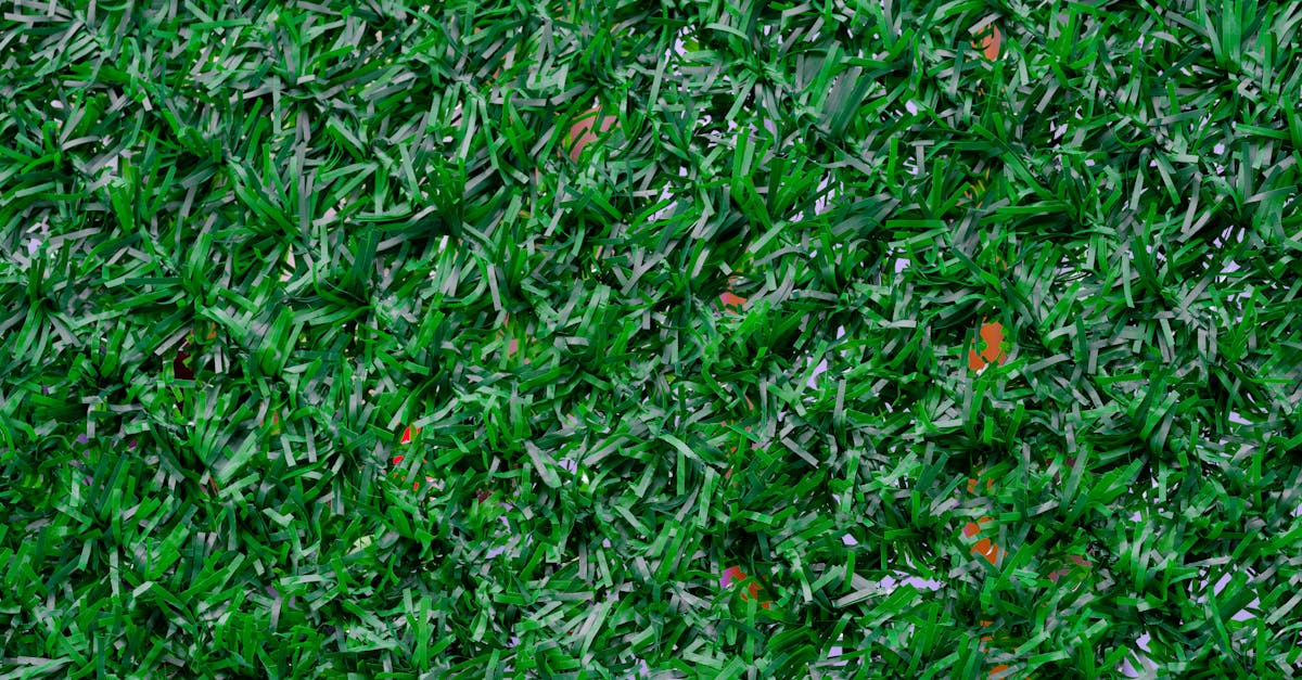 Using the Right Cleaning Solutions for Turf Maintenance